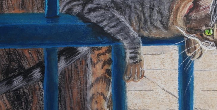 Cat on Barred Fence 14 Dec 2018 .חתולה על גדר מסורגת
