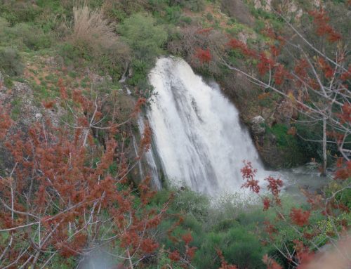 Water falls at the Upper Galilee