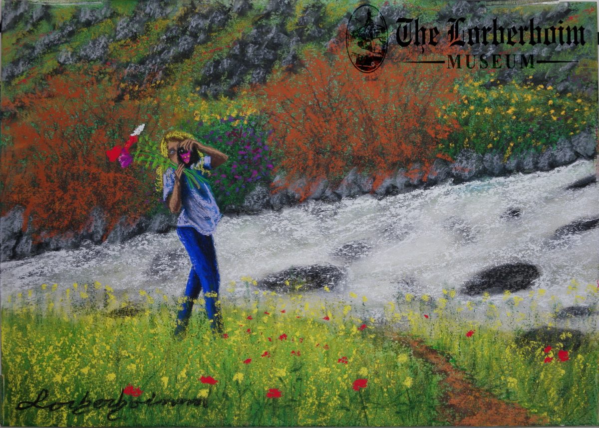 Lorberboim shoots over troubled waters. Lorberboim Soft Pastel Painting
